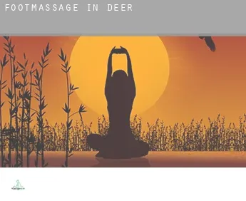 Foot massage in  Deer